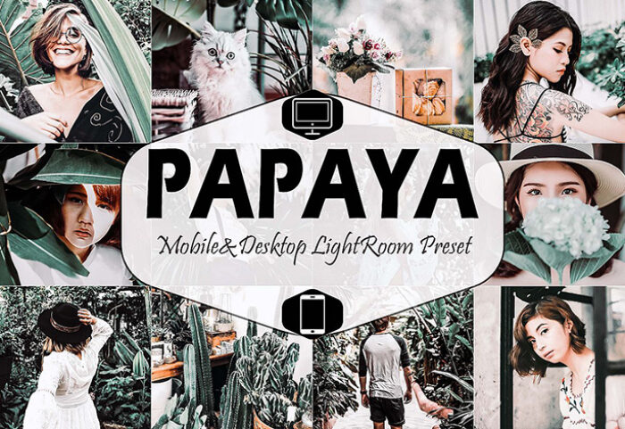 دانلود پریست لایت روم دسکتاپ و موبایل Papaya Mobile Desktop Lightroom Presets (1)