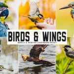 دانلود پریست لایت روم و Camera Raw و اکشن: Birds Wings Mobile Desktop Lightroom Presets