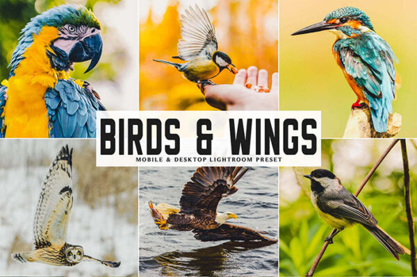 دانلود پریست لایت روم و Camera Raw و اکشن: Birds Wings Mobile Desktop Lightroom Presets