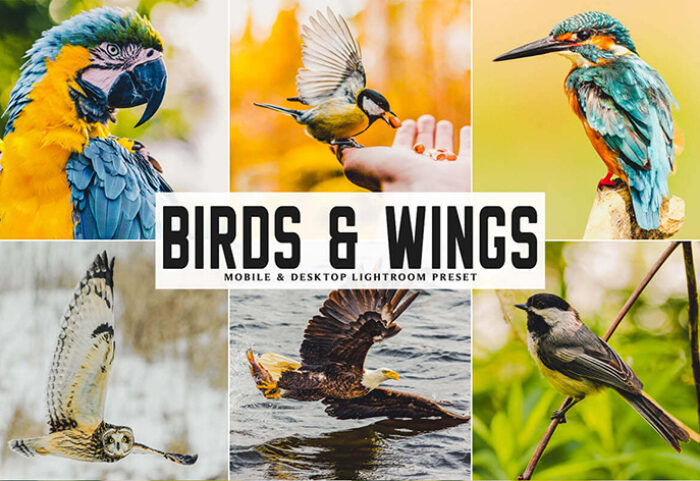 دانلود پریست لایت روم و Camera Raw و اکشن: Birds Wings Mobile Desktop Lightroom Presets