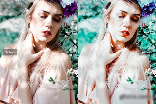 دانلود پریست لایت روم و Camera Raw و اکشن: Seashell Mobile Desktop Lightroom Presets دانلود پریست لایت روم و Camera Raw و اکشن: Seashell Mobile Desktop Lightroom Presets