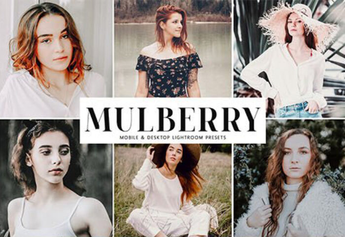 دانلودپریست لایت روم دسکتاپ و موبایل : Mulberry Mobile Desktop Lightroom Presets