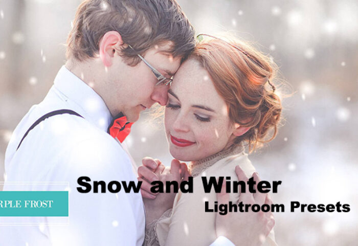 دانلود 32 پریست آماده رنگی زمستانی لایتروم : Snow and Winter Lightroom Presets