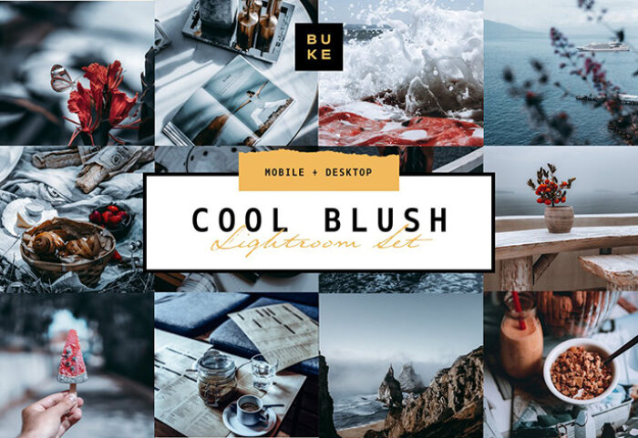 دانلود پریست رنگی لایت روم دسکتاپ و موبایل : Cool Blush Lightroom Presets Pack