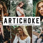 دانلود پریست لایت روم و Camera Raw و اکشن: Artichoke Mobile Desktop Lightroom Presets