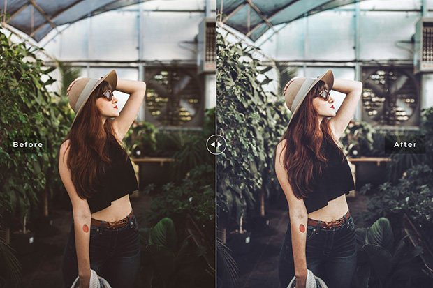 دانلود پریست لایتروم و Camera Raw و اکشن: Botanical Lightroom Presets Pack دانلود پریست لایتروم و Camera Raw و اکشن: Botanical Lightroom Presets Pack
