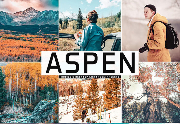 دانلود پریست لایت روم و Camera Raw و اکشن: Aspen Pro Lightroom Presets