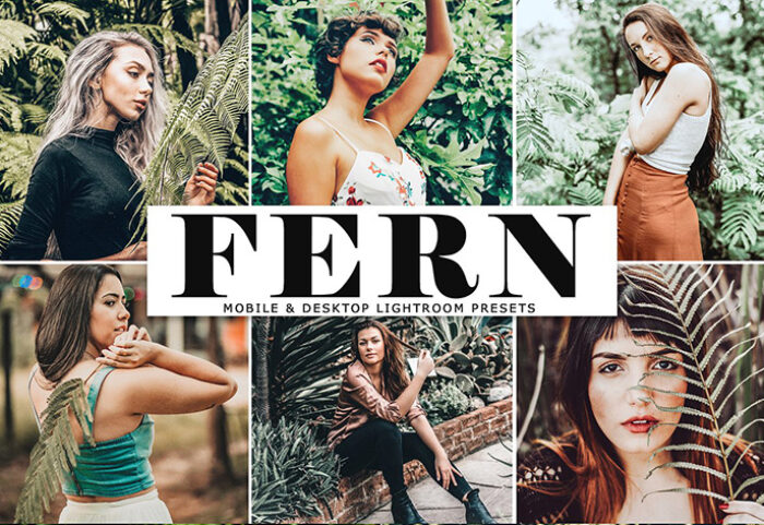 دانلود پریست لایت روم و Camera Raw و اکشن: Fern Lightroom Presets Pack