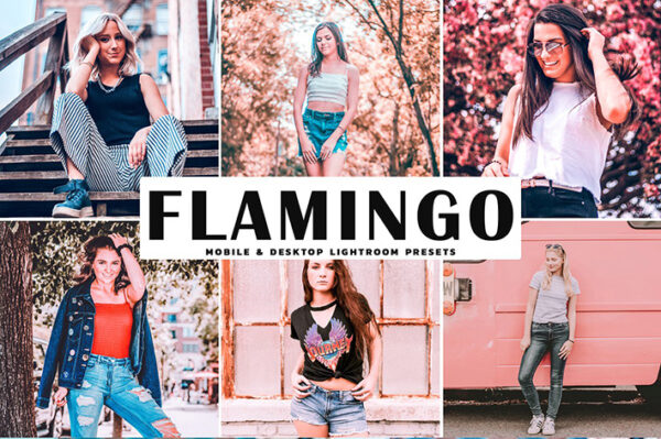 دانلود پریست لایتروم و Camera Raw و اکشن: Flamingo Pro Lightroom Presets