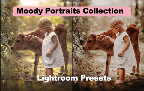 دانلود مجموعه 21 پریست لایت روم : Moody Portraits Collection Lightroom Presets