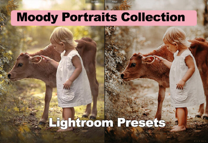 دانلود مجموعه 21 پریست لایت روم : Moody Portraits Collection Lightroom Presets