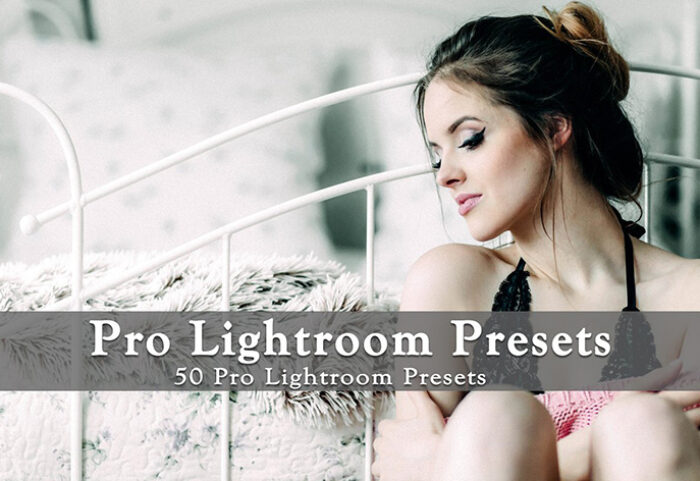 دانلود مجموعه 50 پریست لایت روم دسکتاپ : Pro Lightroom Presets