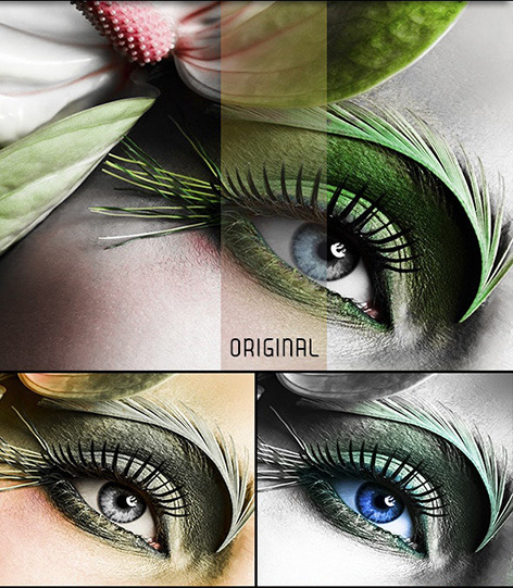 دانلود مجموعه 56 پریست لایت روم : Graphicriver 56 Preset Collection دانلود مجموعه 56 پریست لایت روم : Graphicriver 56 Preset Collection