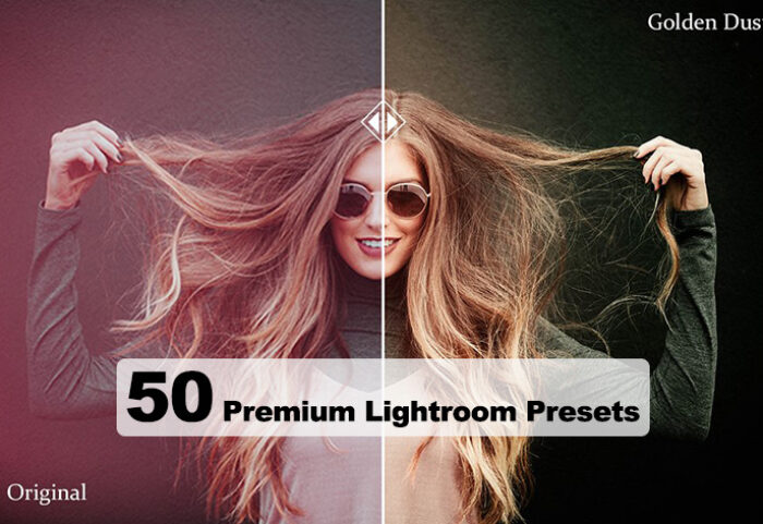 دانلود پریست لایت روم 50 عددی دسکتاپ : Premium Lightroom Presets