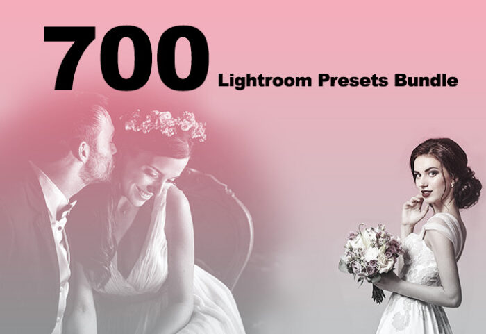 دانلود پریست لایت روم 700 عددی دسکتاپ : Lightroom Presets Bundle