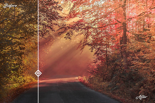دانلود پریست لایت روم دانلود پریست لایت روم 50 عددی دسکتاپ : Premium Landscape Lightroom Presets