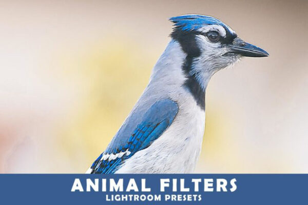 پریست لایت روم و Camera Raw و اکشن Animal Photography Lightroom Presets