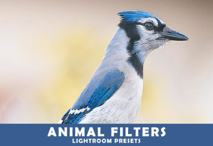 پریست لایت روم و Camera Raw و اکشن Animal Photography Lightroom Presets