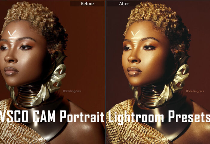 دانلود پریست لایت روم : VSCO CAM Portrait Lightroom Presets