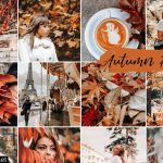 دانلود پریست لایت روم موبایل Mobile Lightroom Presets AUTUMN FEED
