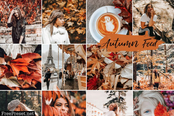 دانلود پریست لایت روم موبایل Mobile Lightroom Presets AUTUMN FEED