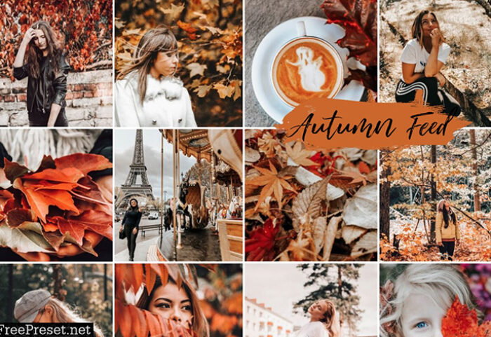 دانلود پریست لایت روم موبایل Mobile Lightroom Presets AUTUMN FEED