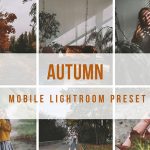 دانلود پریست لایت روم موبایل : تم پاییزی Lightroom Mobile Autumn Preset