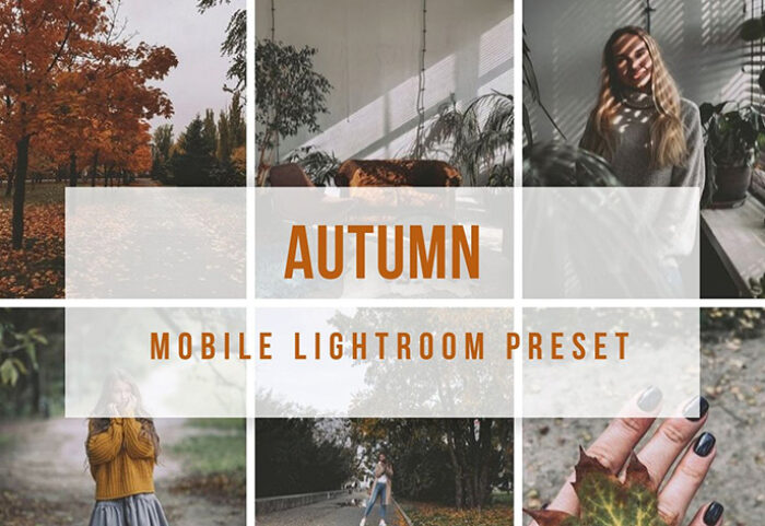 دانلود پریست لایت روم موبایل : تم پاییزی Lightroom Mobile Autumn Preset