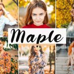 دانلود پریست لایت روم و Camera Raw و اکشن Maple Mobile Desktop Lightroom Presets