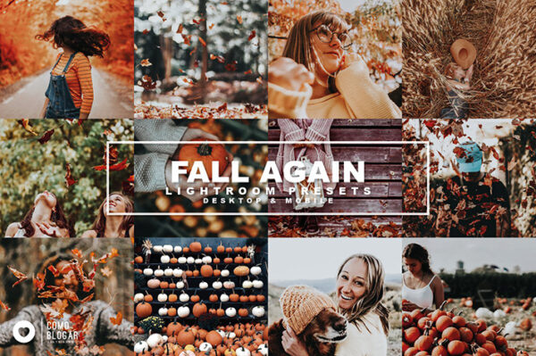 دانلود 66 پریست لایت روم دسکتاپ و موبایل تم پاییزی Fall Again