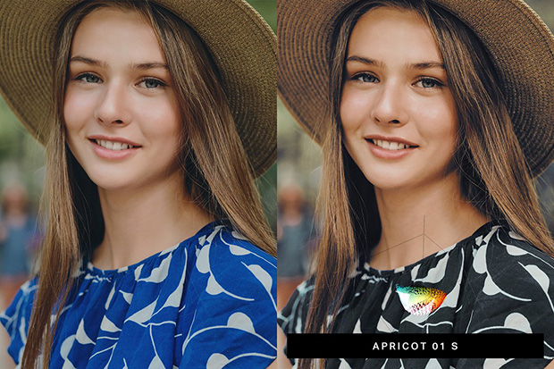 پریست لایت روم دسکتاپ و موبایل Pastel Lightroom Presets and LUTs پریست لایت روم دسکتاپ و موبایل Pastel Lightroom Presets and LUTs