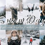 پریست لایت روم دسکتاپ و موبایل تم زمستانی Vibrant SNOW DAY Lightroom Presets