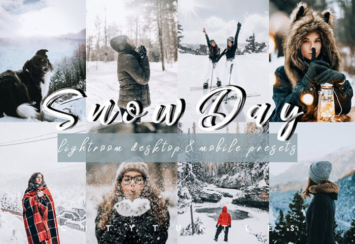 پریست لایت روم دسکتاپ و موبایل تم زمستانی Vibrant SNOW DAY Lightroom Presets