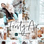 پریست لایت روم دسکتاپ و موبایل تم زمستانی Winter Lightroom Presets