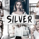 پریست لایت روم دسکتاپ و موبایل تم نقره ای Silver Mobile Desktop Lightroom Presets