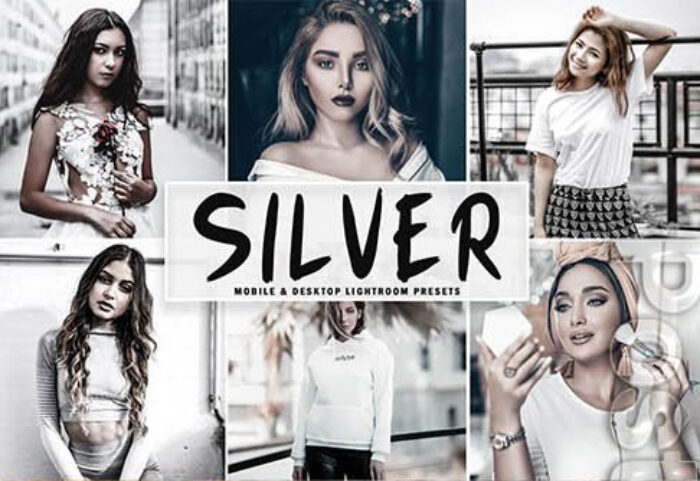 پریست لایت روم دسکتاپ و موبایل تم نقره ای Silver Mobile Desktop Lightroom Presets