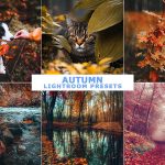 پریست لایت روم دسکتاپ و موبایل رنگ پاییزی Autumn Lightroom Presets