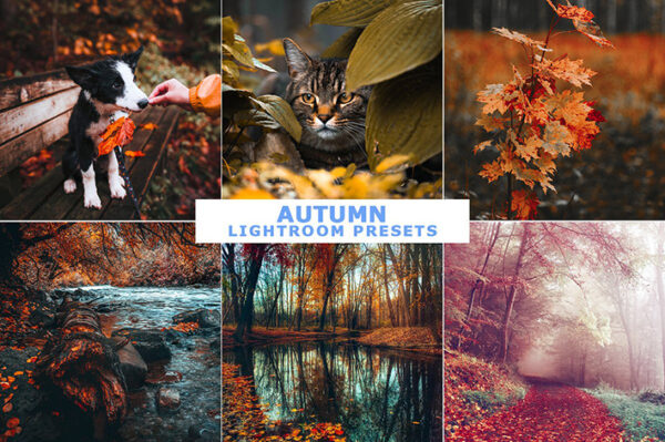 پریست لایت روم دسکتاپ و موبایل رنگ پاییزی Autumn Lightroom Presets
