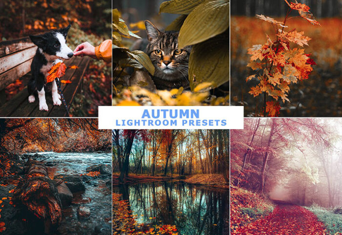 پریست لایت روم دسکتاپ و موبایل رنگ پاییزی Autumn Lightroom Presets
