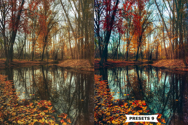 پریست لایت روم دسکتاپ و موبایل رنگ پاییزی Autumn Lightroom Presets پریست لایت روم دسکتاپ و موبایل رنگ پاییزی Autumn Lightroom Presets
