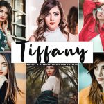 پریست لایت روم و Camera Raw و اکشن Tiffany Mobile Desktop Lightroom Presets