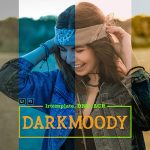 پریست لایت روم و کمرا راو تم رنگارنگ Darkmoody LR Mobile and ACR Presets