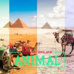 پریست لایت روم و کمرا راو تم فضای آزاد Animal LR Mobile and ACR Presets