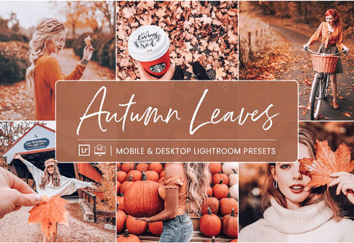 پریست لایت روم دسکتاپ و موبایل تم برگ پاییزی Autumn Leaves Lightroom Presets