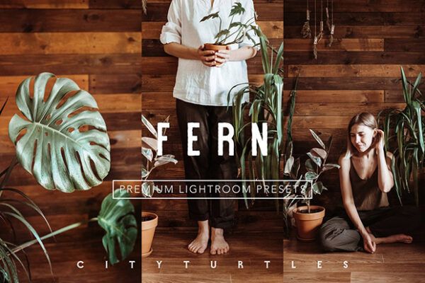 پریست لایت روم دسکتاپ و موبایل تم رنگ گرم Rich Warm FERN Lightroom Presets