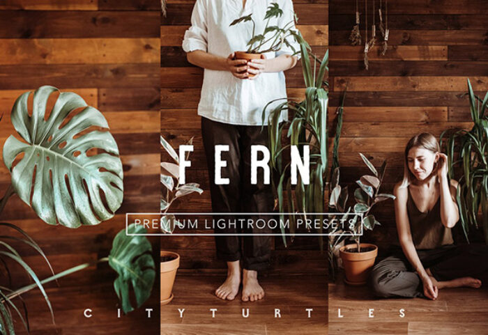 پریست لایت روم دسکتاپ و موبایل تم رنگ گرم Rich Warm FERN Lightroom Presets