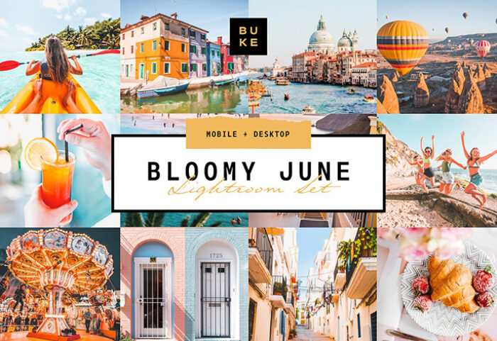 پریست لایت روم دسکتاپ و موبایل تم ماه گل Bloomy June Lightroom Preset