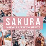 پریست لایت روم و لات رنگی تم صورتی Sakura Lightroom Presets and LUTs
