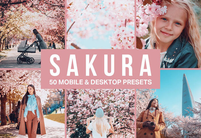پریست لایت روم و لات رنگی تم صورتی Sakura Lightroom Presets and LUTs
