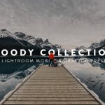 پریست لایت روم و لات رنگی تم پرتره Moody Lightroom Presets and LUTs